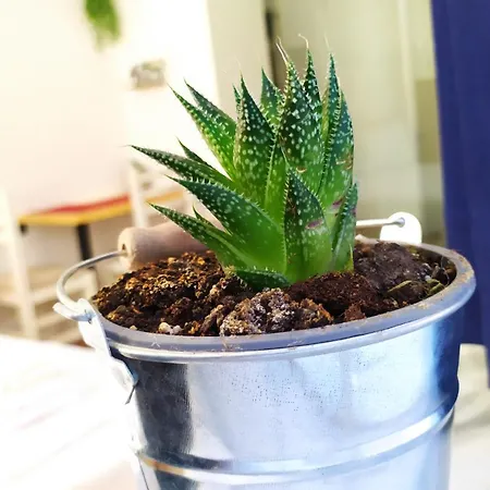 Beautiful Modern In Bllok Tirana