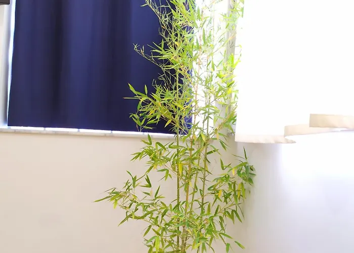 Lägenhet Beautiful Modern In Bllok *