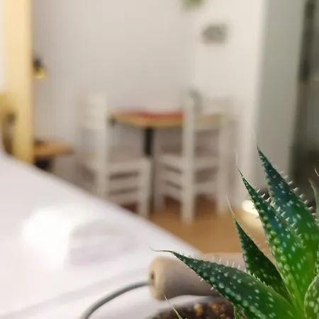 Beautiful Modern In Bllok Apartament Tirana