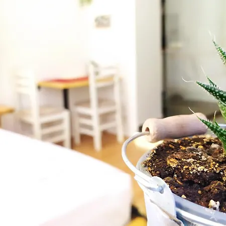 Beautiful Modern In Bllok Apartament