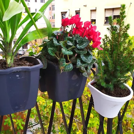 Apartament Beautiful Modern In Bllok