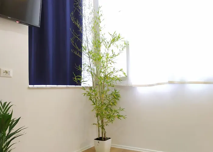 Beautiful Modern In Bllok * Tirana